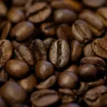 Hvordan opbevarer jeg bedst mine kaffebønner, så de holder længere?